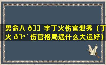 男命八 🐠 字丁火伤官泄秀（丁火 🪴 伤官格局遇什么大运好）